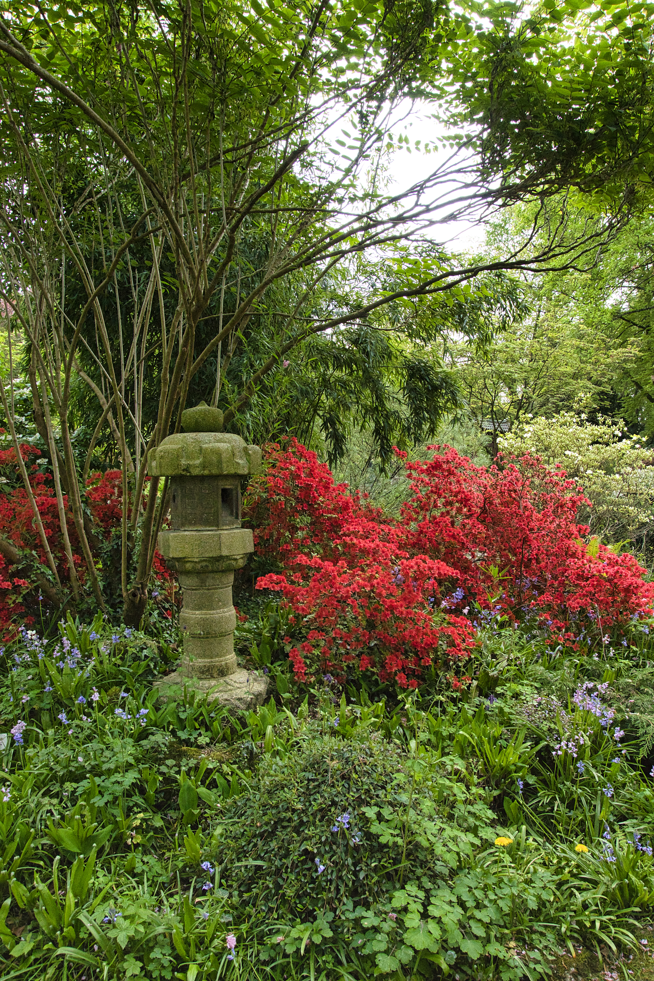 JapGartenLeverkusen 9